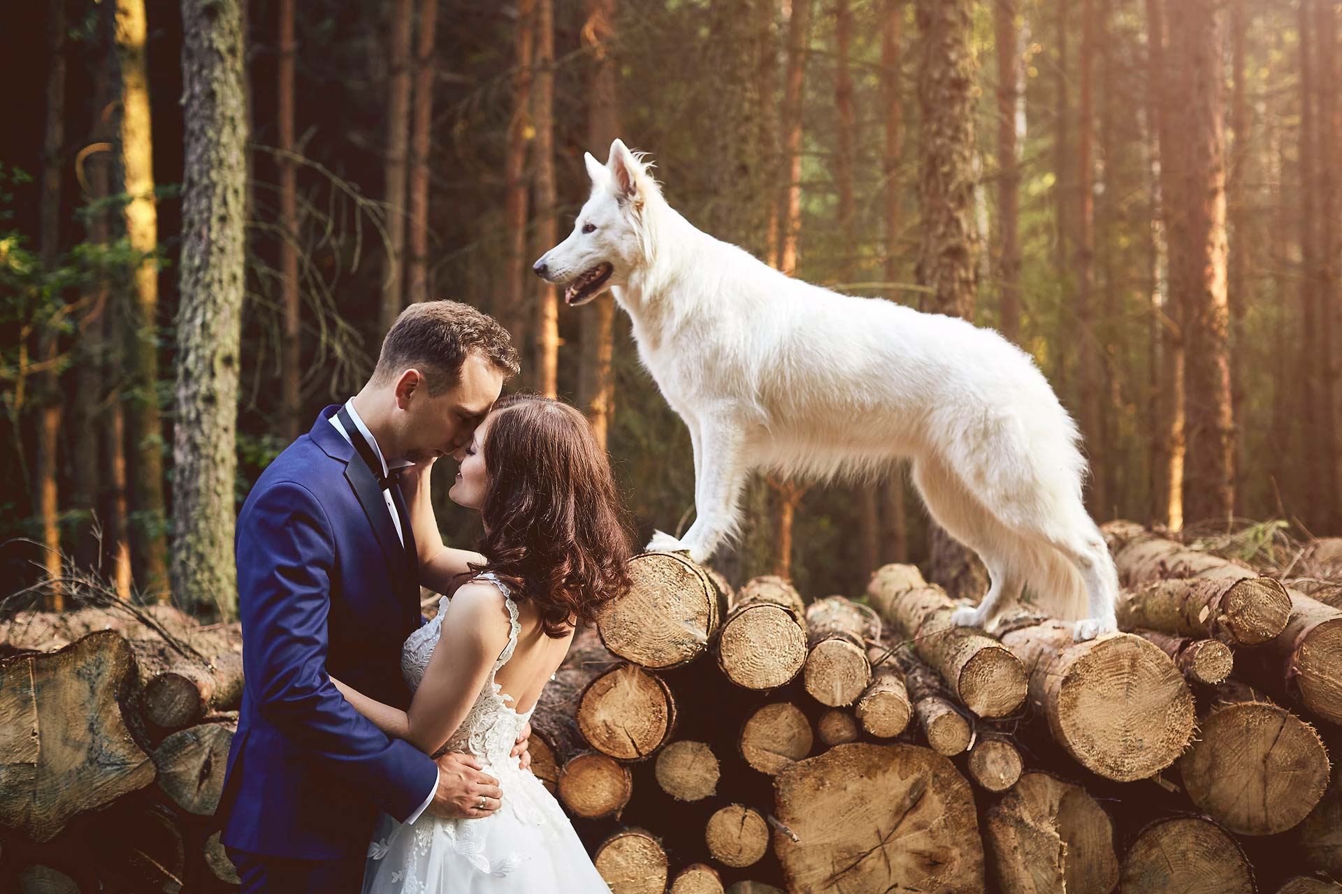 006 zdjecia slubne wroclaw