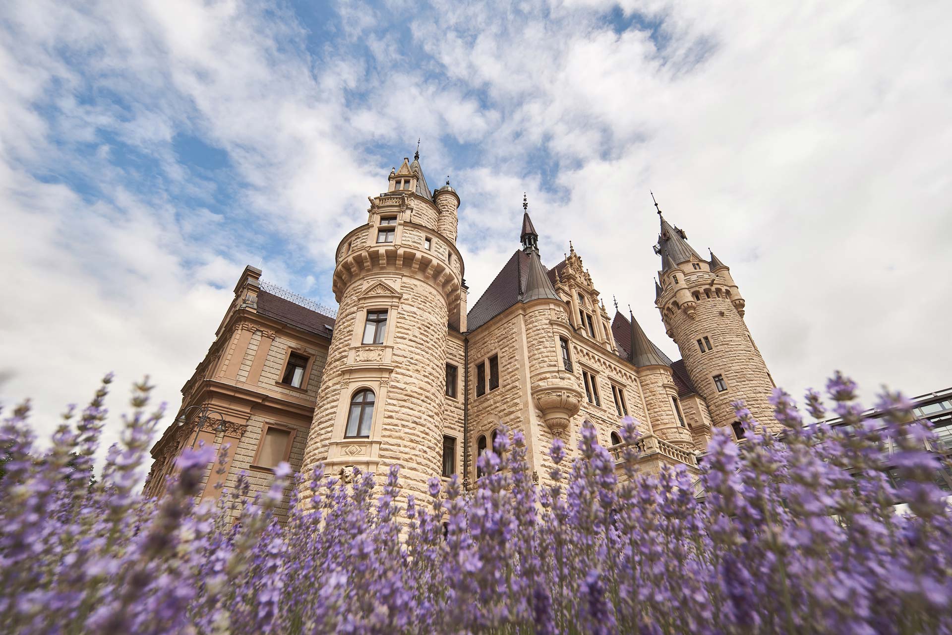 008 detale slubne wroclaw opole