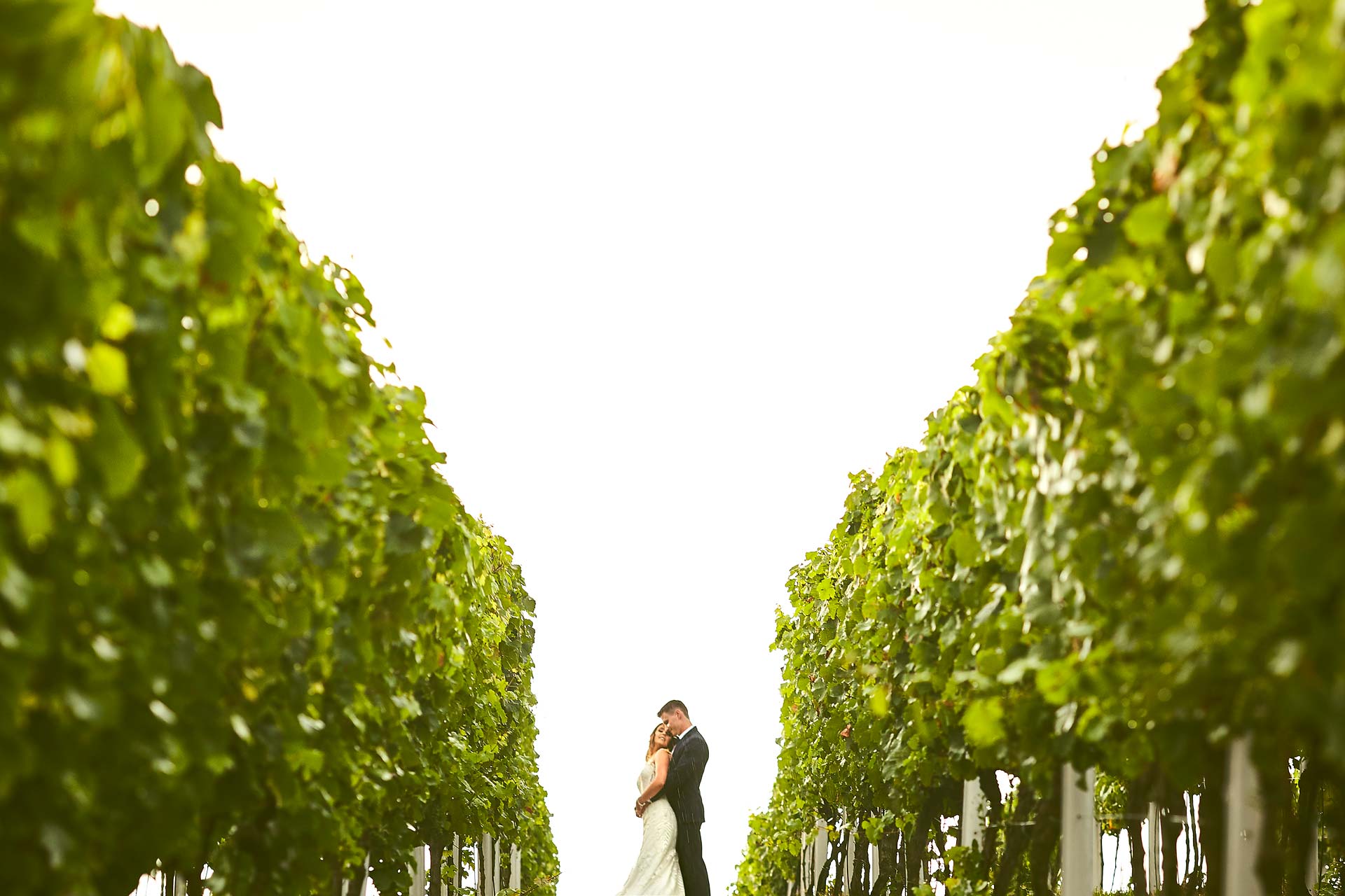 010 zdjecia slubne wroclaw