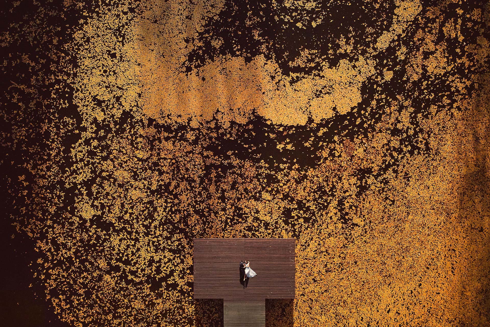 011 zdjecia slubne wroclaw