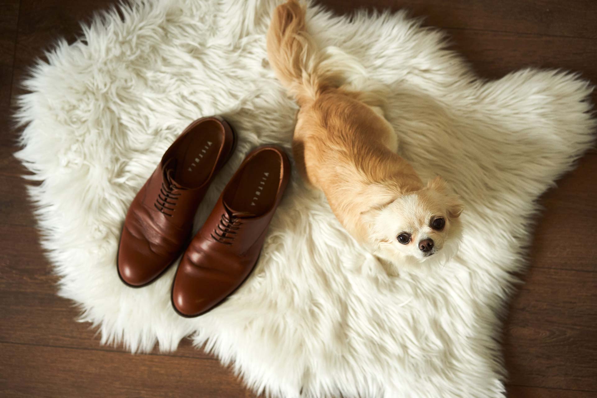 012 detale slubne wroclaw opole