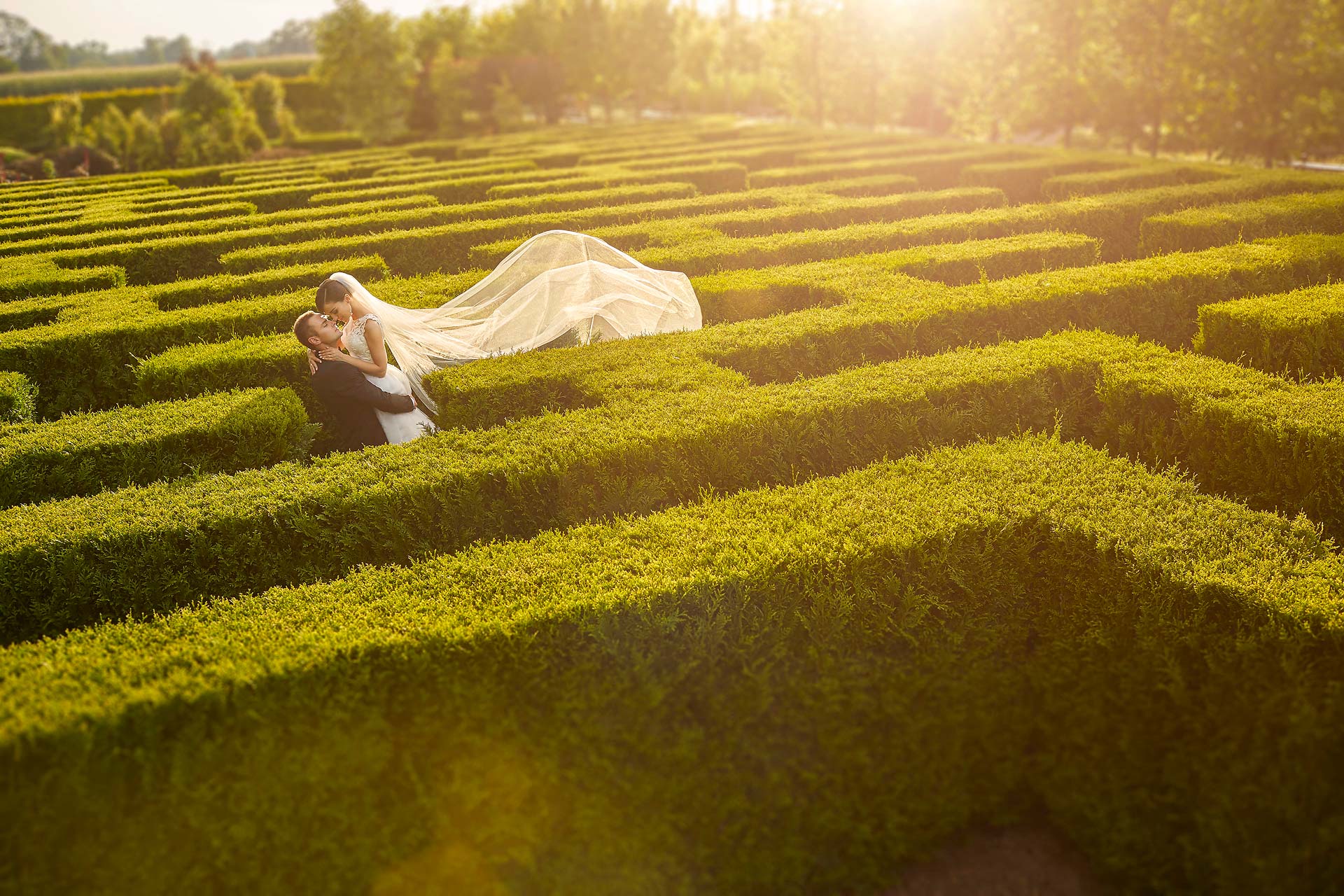 019 sesja slubna wroclaw