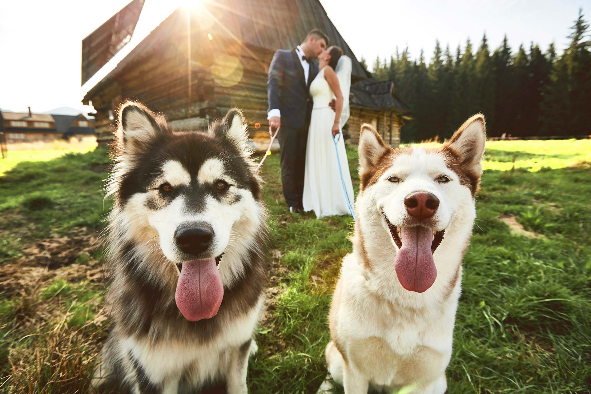 029 sesja slubna wroclaw